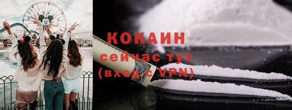 спайс Алзамай