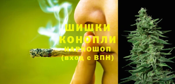 спайс Алзамай