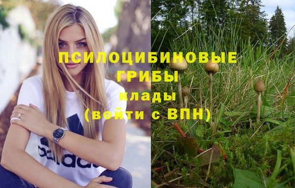 спайс Алзамай