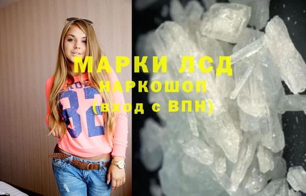 спайс Алзамай