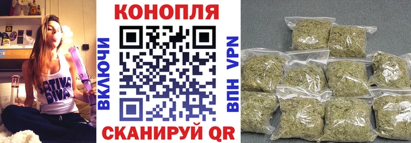 Каннабис OG Kush  Мытищи 